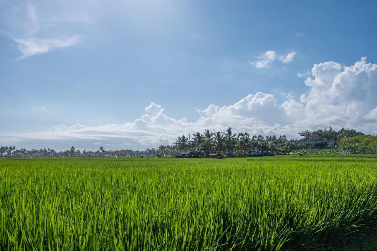 Oyo 915 Villa Sari Pulukan Exteriér fotografie